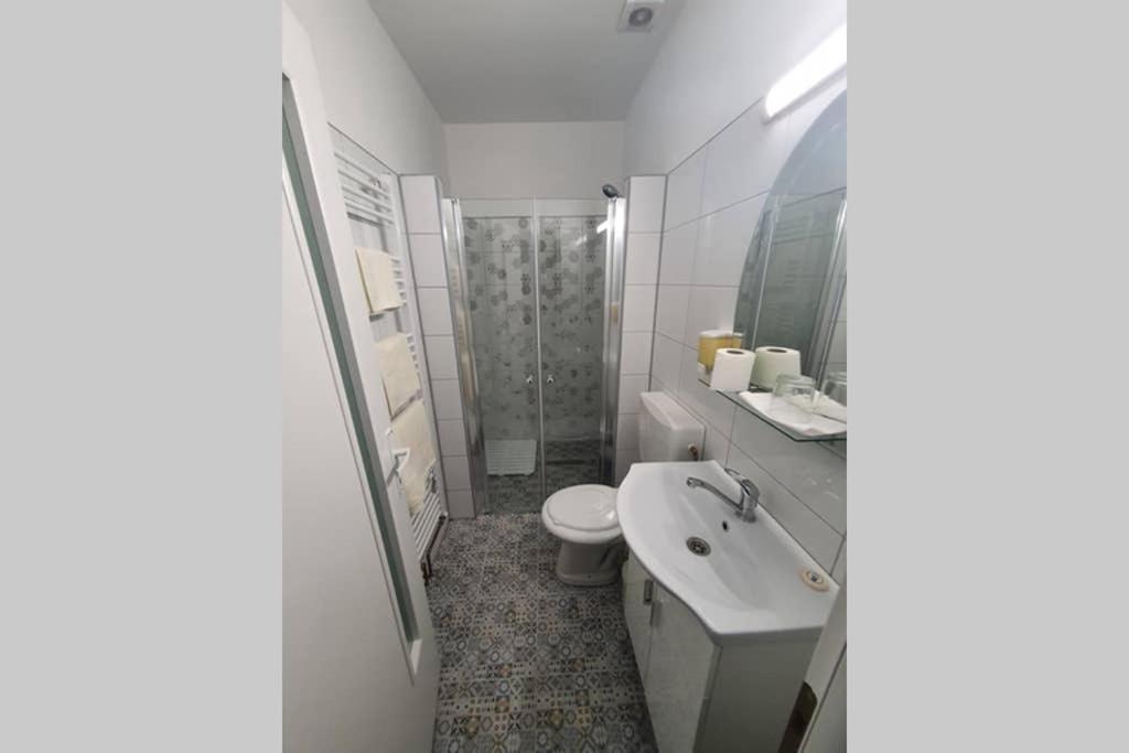 Casa Frizerului - Pets Allowed For Free & Moto Friendly Apartamento Sebeş Exterior foto